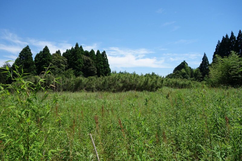 放棄 寄付 それとも処分 いらない土地を処分する方法 スマイティ