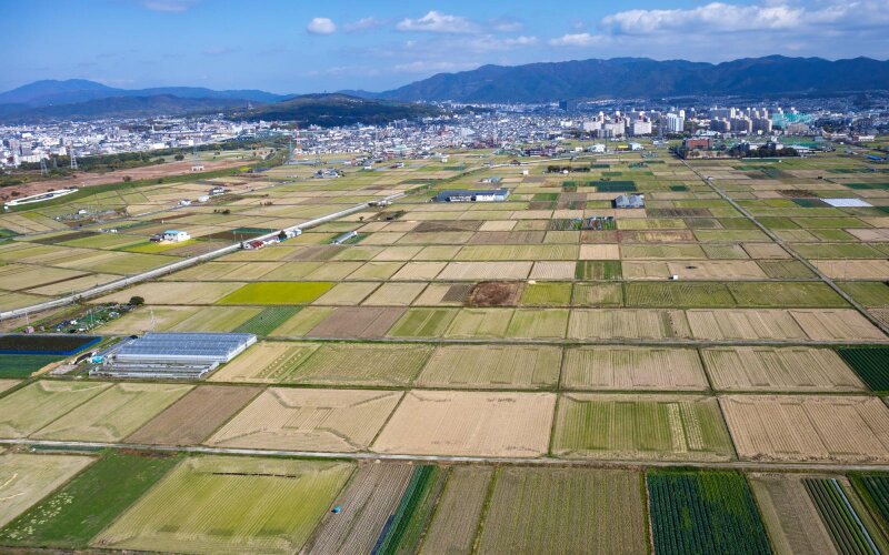 市街化調整区域とは｜建築許可は取れる？土地活用の方法を紹介します