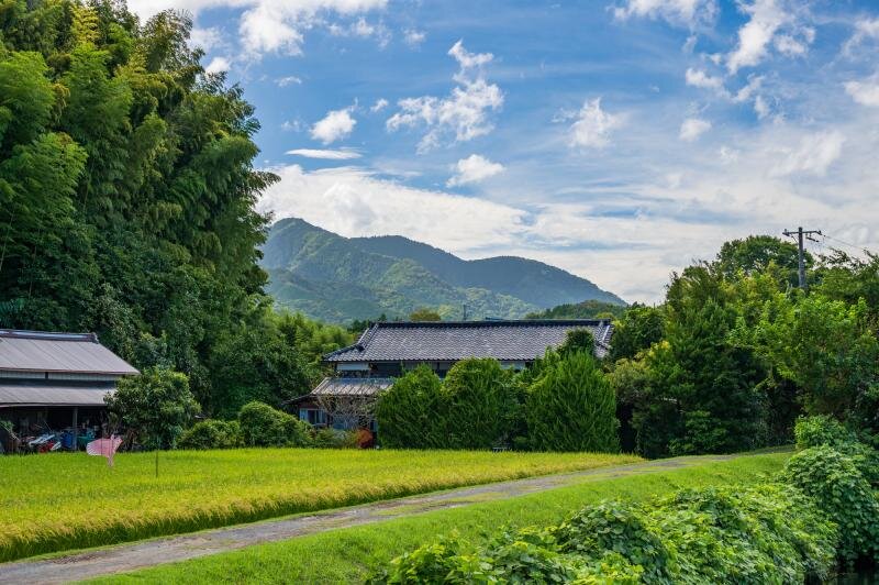 田舎の土地活用成功例5つ｜工夫ポイントやコツを解説します